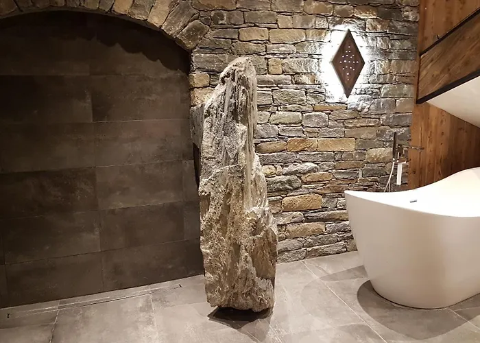 Daire Gsi Les Coches